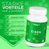 Iron Capsules by BjökoVit | High Dose & Vegan |