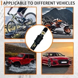 Maisoon Autovo Tire Deflator, Adjustable Automatic Tire Deflator Kit, (Set of 4)Black.