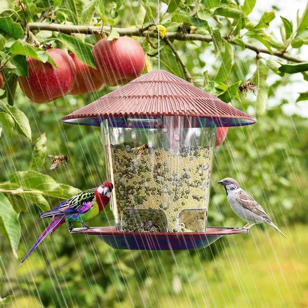 hanging bird feeder outdoor