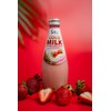 Savia - Coconut Milk Drink, Quality Coconut-Based Beverage, Made with