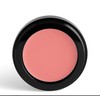 INGLOT X MAURA Elements Luminous Rose Cream Blusher 302 Peach
