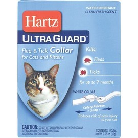 Hartz Kitten & Cat F&T Collar