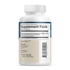 Naturealm - Lion's Mane Capsules - Brain Health Superfood Supports Focus and Nerve Health, 90 Vegetarian Caps, 30-Day Supply