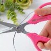 Ars Nouveau 3100-P Double W Craft Scissors, Pink.