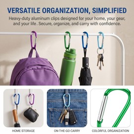 10 Pack Carabiner Clips, Large D Ring Aluminum Alloy Carabiner Hooks with Spring Gate, Lightweight Keychain Clips for Backpack, Camping, Hiking, Fishing, Travel and Outdoor Gear Accessories