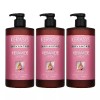 Cerasis 케라시스 케라마이드 극손상 트리트먼트 1L X 3개 Kerasis Keramide Intensive Damage Treatment 1L x 3