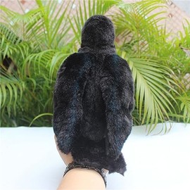 Peluche realista de cuervo negro, lindo juguete de peluche de peluche de cuervo negro, juguete de peluche suave para cumpleaños, regalos para niños, d