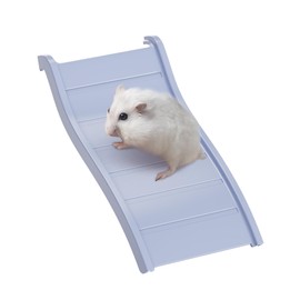 tafit Hamster Ladder Bridge - Waterproof Plastic Climbing Toy, Multi-Color Play & Decor for Hamsters, Gerbils, Mice, and Small Animals (Light Blue, 7.48")