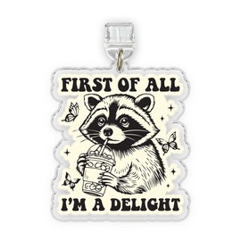 CHARKIMONY First Of All I'm A Delight Charm for E-Readers Dust Plug Charm 1.5 Inches Funny Quote Motivational Positivity Raccoon Cute Lightning/Type C Acrylic Material Charms for E-Reader Accessories