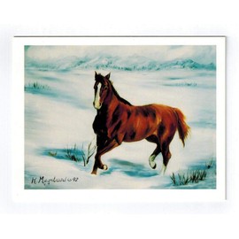 Horse In Snow Note Cards Set - 12 Notecard By Ruth Maystead (HOS-2)