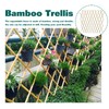 Sprigra Natural Bamboo Trellis, Expandable Fence, Outside Lattice Fence 36x92