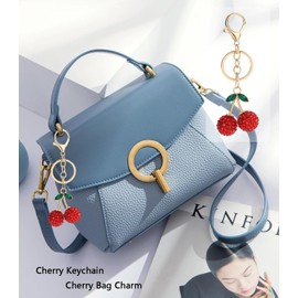Blytheyes Cherry Keychain cherry Bag Charm Keychain Accessories Gifts for Women Purse Bag Charms Extender Chain for Handbags (C Red Cherry)