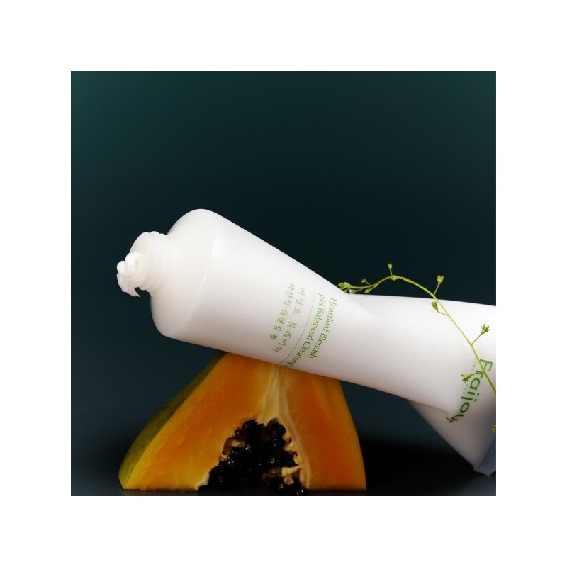 Eoseongcho Soothing Trouble-Relief Foam Cleansing 250ml / 어성초 진정 트러블완화