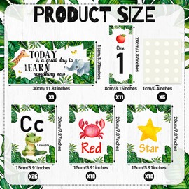 Faccito 58 Pcs Eucalyptus Alphabet Number Bulletin Board Set Abc Letters Colors Shapes Educational Cards Early Learning Manuscript Alphabet Poster for Wall Classroom Preschool Kindergarten Decor