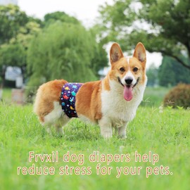 Frvxil Washable Male Dog Diapers: Reusable Belly Bands for Puppy - 3 Pack Absorbent Doggy Wraps (Dinosaur, Large, Count, 3)