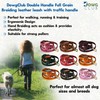DowgClub Leather Dog Leash 6ft X ¾ Inch, Tan Braided