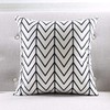 Modern Homes Black and White Throw Pillow Covers 16x16 inches;