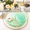 Rubtlamp Plastic Green Plates,Green Party Plates, Disposable Green Plates, Clear