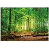 AIIKES 10x8ft Green Spring Backdrop Jungle Forest Backdrops for Photography