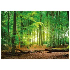 AIIKES 10x8ft Green Spring Backdrop Jungle Forest Backdrops for Photography Natural Scenery Sunshine and Green Grassland Vinyl Background Photo Booth Outdoor Wedding Decorations Studios Props 10-516