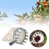 Omninmo Metal Fruit Picker Head Basket Diameter 150mm High Place