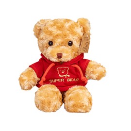 AUCOOMA Teddy Bear Stuffed Animal 11.8” Classic Small Teddy Bear Plush with Doll Hoodie, Plush Gift for Boys Girls Bear Doll for Christmas Valentine's Day