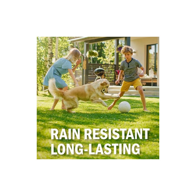Seymour RENEW Grass and Shrub (Pristine). 17 oz. Can. (Pack