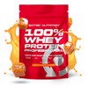 Scitec Nutrition 100% Whey Protein Professional with Extra Additional Amino