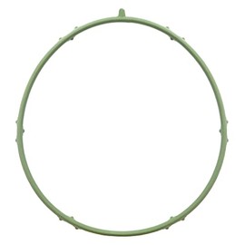 Gasket, Throttle Body