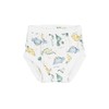 Under the Nile Organic Cotton Potty Training Pants, Dino. 12-24