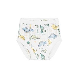 Under the Nile Organic Cotton Potty Training Pants, Dino. 12-24 Months