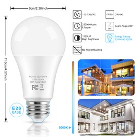 LED Light Bulbs, 100 Watt Equivalent A19 LED Bulbs, 13W 5000K Daylight White 1500 Lumens Non-Dimmable Bright E26 Edison Medium Screw Bulbs for Home Bedroom Kitchen Living Room Office Lamp, 10-Pack