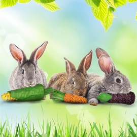 SunGrow Natural Veggie Chew Toys for Rabbits, 5.2 Inches, Woven with 100% Organic Material, Stimulate Your Bunny Rabbits, Bright, Entertaining and Safe for Chewing, 3 Pieces