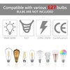 2 Pcs Ceiling Pendant Light Fitting E27 Rose Screw Lamp