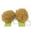 14CM Sea Sponge Unbleached Honeycomb Natural Seasponge for Bath Use,