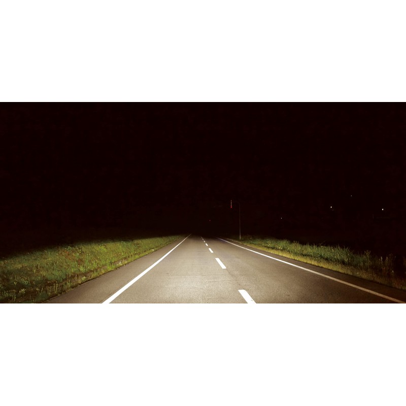 Polarg (pora-gu) Halogen Bulb [Medium – 95] k [Number] p0898 W