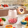 Food Processor, 350ML High-Capacity High Boron Glass Garlic Blender,Electric Food