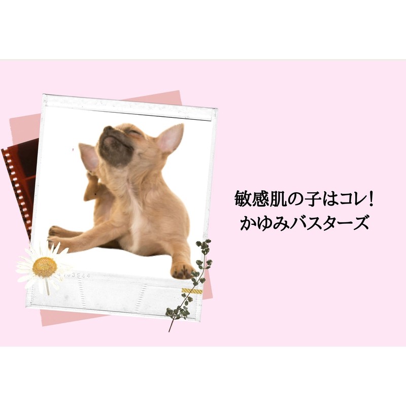 Profem Skin Care Shampoo & Conditioner (200ml)