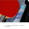 Nittaku 09BK/BL Racquet Case, Color Logo Case, 09BK/BL