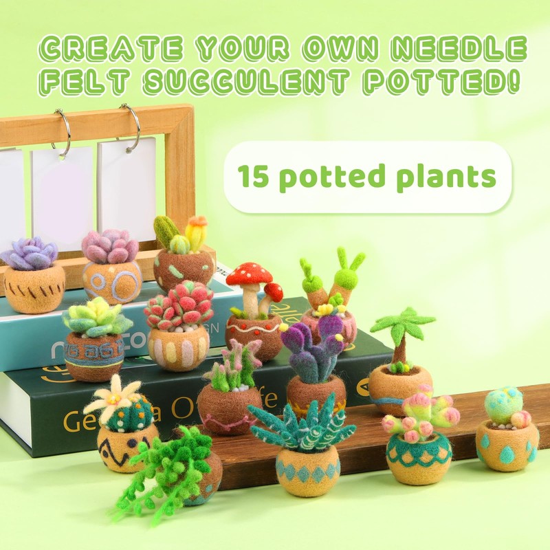 Needle Felting Kit, 15 PCS Succulent Beginner Needle Felting Kit,