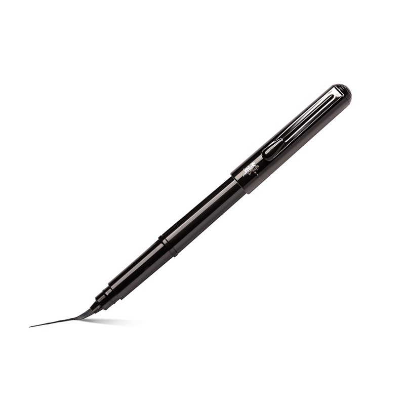 Pentel XGFKP/FP10 - Pocket Brush Blister-Pack Pinselstift mit 2 Patronen,