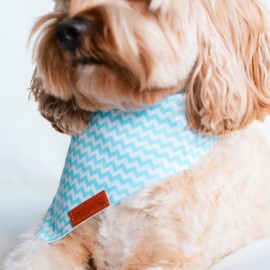 Paws Boutique Premium Dog Bandana/Scarf | Design: Ocean Waves | Reversible Dual Layered/Sided | Small, Medium & Large Pets | Unique Style | Accessories for Puppies & Dogs (M)
