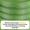 Green Tree Tie Webbing Strap 3/4" x 250' - Heavy
