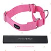 Mikivery Martingale Dog Collar Nylon Adjustable and Safety Choke Training