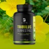 Tribulus Terrestris Precursor D Testosterona 240 Cáps. B Life