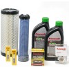 Kawasaki OEM Tune Up Kit 99969-6419 FX751V, FX801V, FX850V