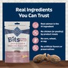 Blue Buffalo Blue Bits Plus Skin & Coat and Immune