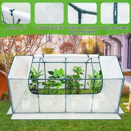 Mini Greenhouse Outdoor, deaunbr Waterproof Garden Green House with Durable PE Cover & Roll-Up Zipper Door, Heavy Duty Greenhouse Tent for Indoor Outdoor Plants - 63"x31.5"x31.1"