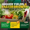 GreenGro Biologicals Easy Grow Box Premium Nutrition Bundle by GreenGro