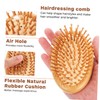 Baluue Scalp Massage Comb Hairbrush for Mens Combs for Hair